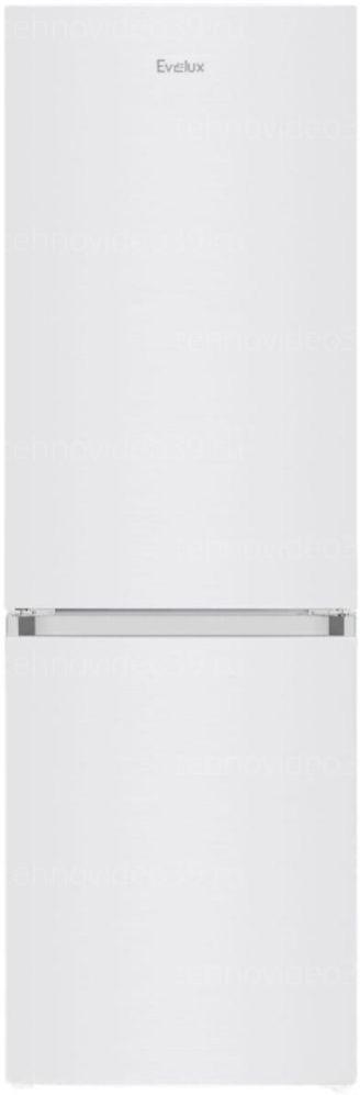 Холодильник Evelux FS 2281 W купить по низкой цене в интернет-магазине ТехноВидео
