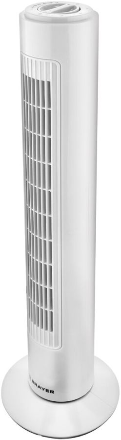 Вентилятор колонный Brayer BR4952WH белый