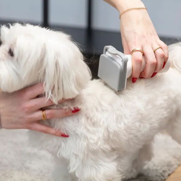 Пылесос MPM MOD-1000 для ухода за домашними питомцами