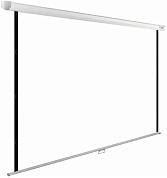 Экран Cactus WallExpert CS-PSWE-200x200-WT настенно-потолочный рулонный