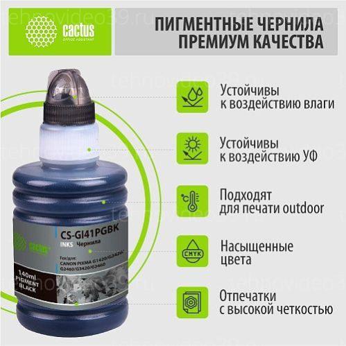 Чернила Cactus CS-GI41PGBK GI-41 PGBK черный пигментный 140мл для Canon PIXMA купить по низкой цене в интернет-магазине ТехноВидео