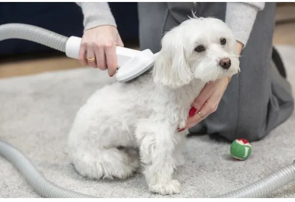 Пылесос MPM MOD-1000 для ухода за домашними питомцами