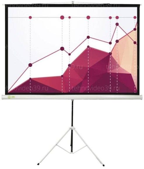 Экран Cactus Triscreen CS-PST-180x180 напольный рулонный черный купить по низкой цене в интернет-магазине ТехноВидео