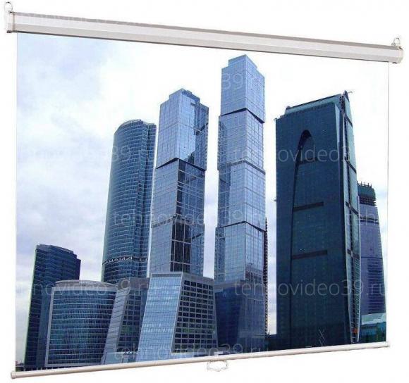 Экран Lumien проекционный ECO Picture настеный, белый (LEP-100110) купить по низкой цене в интернет-магазине ТехноВидео