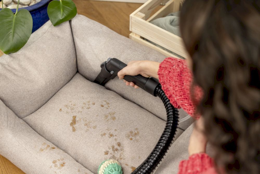 Моющий пылесос Karcher SE 4 Plus (10811700)