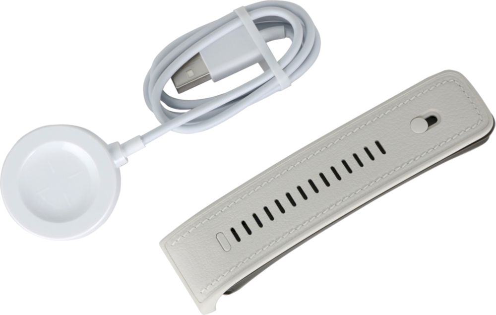 Смарт часы Huawei Watch D2 LCA-B11 золотистый (55020DJG)