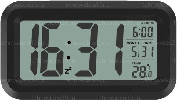 Часы с термометром Ritmix CAT-100 BLACK купить по низкой цене в интернет-магазине ТехноВидео