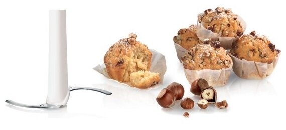 Измельчитель Bosch MMR08R2 красный