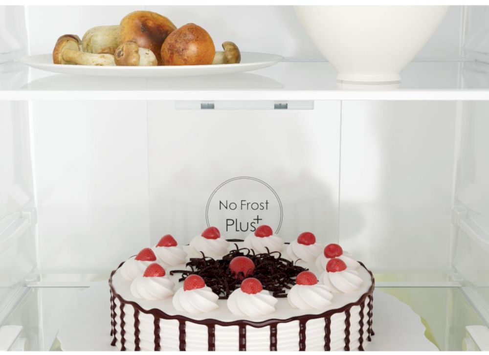 Холодильник Candy CCRN6200B Чёрный (BJ0XFBE00RU)