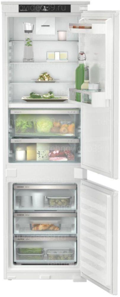Встраиваемый холодильник Liebherr ICNSd 5123 купить по низкой цене в интернет-магазине ТехноВидео