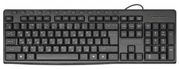 Клавиатура проводная Defender ACTION HB-719 USB, черный (45719) купить по низкой цене в интернет-магазине ТехноВидео