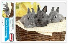 Коврик Buro для мыши BU-M40083 рисунок/дельфины 230x180x2мм