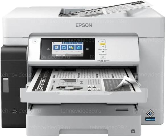 Мфу Epson M15180 (C11CJ41406) купить по низкой цене в интернет-магазине ТехноВидео