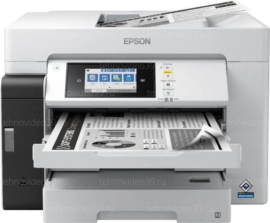 Мфу Epson M15180 (C11CJ41406) купить по низкой цене в интернет-магазине ТехноВидео