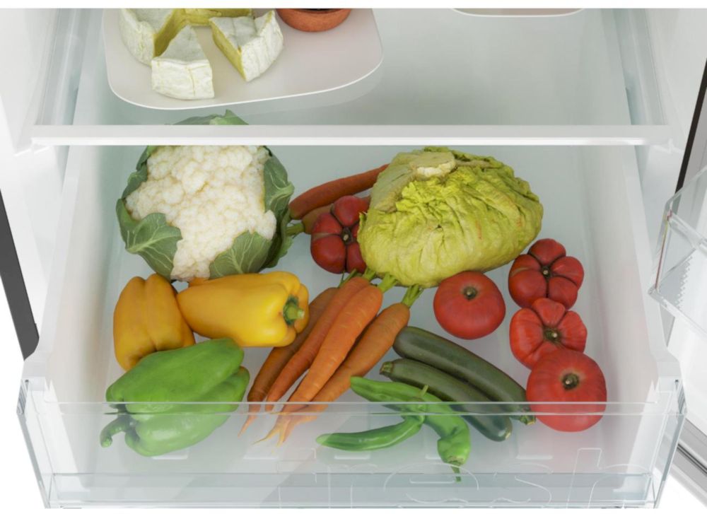 Холодильник Candy CCRN6200B Чёрный (BJ0XFBE00RU)