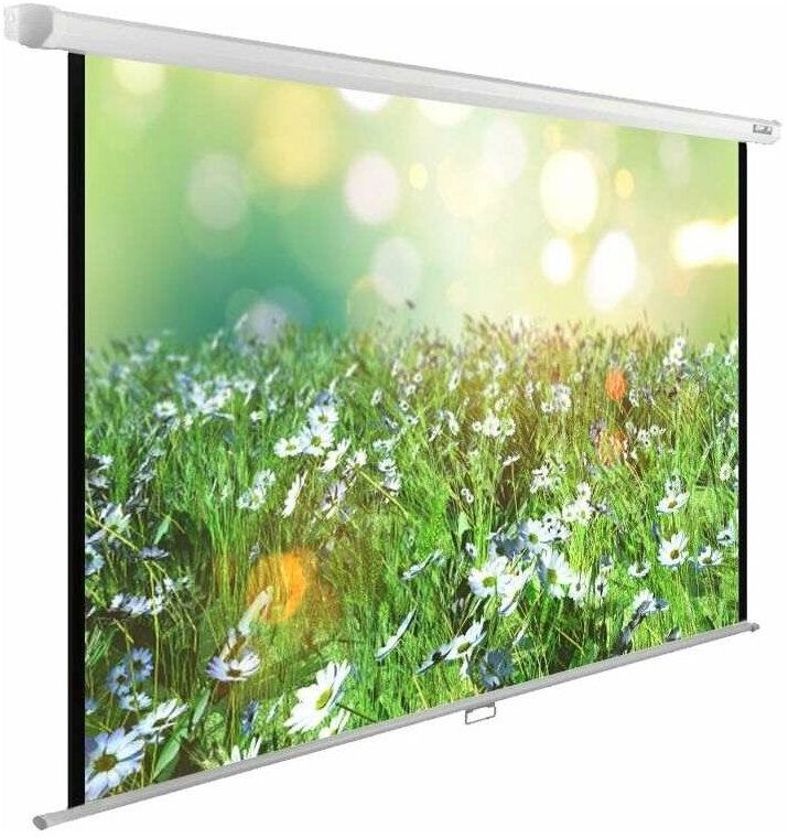 Экран Cactus WallExpert CS-PSWE-200x200-WT настенно-потолочный рулонный