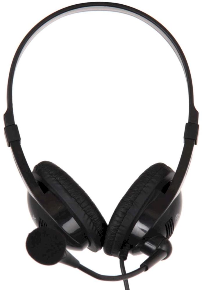 Гарнитура Ritmix RH-533USB black