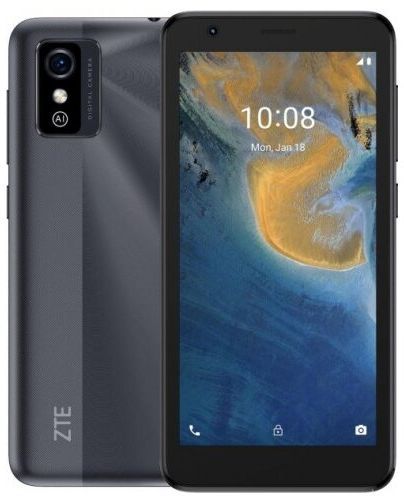 Смартфон ZTE BLADE L9 1/32GB серый (Blade L9RU)