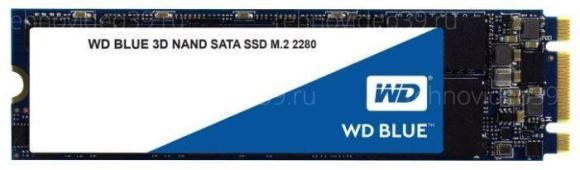 Жесткий диск SSD M.2 250GB Western Digital Blue R550/W525 Mb/s WDS250G2B0B TWB 200TB купить по низкой цене в интернет-магазине ТехноВидео