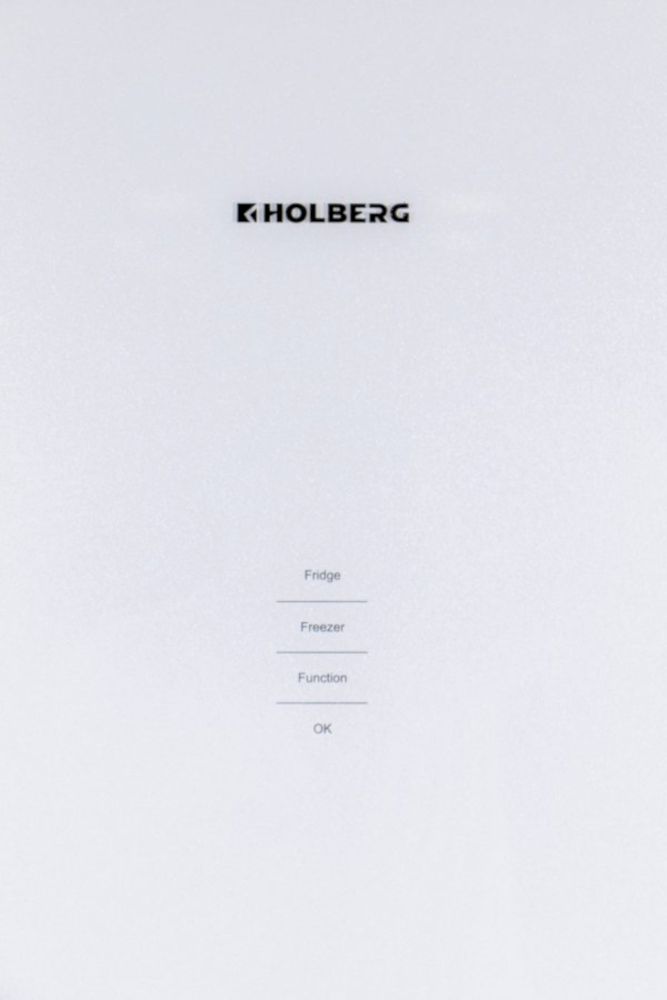 Холодильник Holberg HRB 2001NDGW