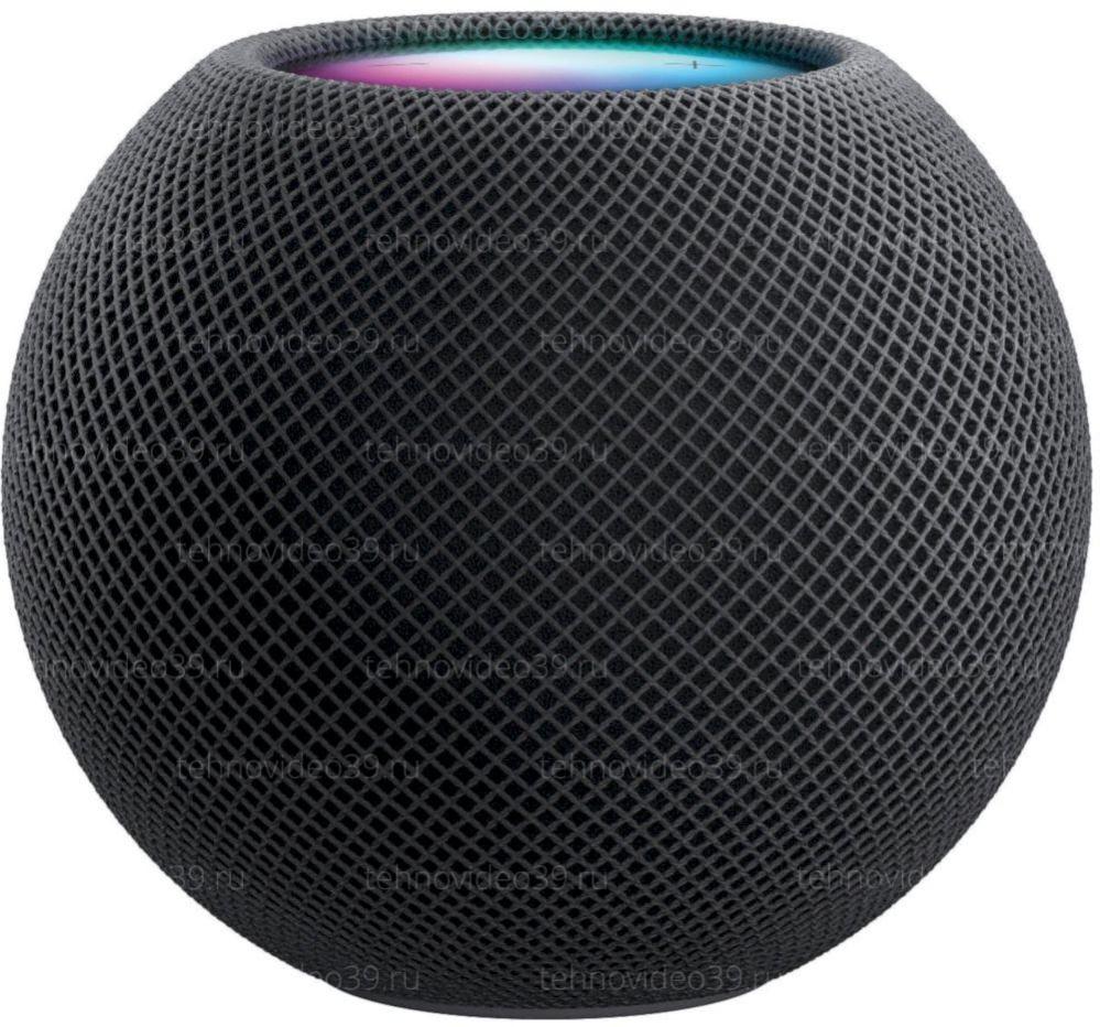 Умная колонка Apple HomePod mini Space Gray MY5G2D/A EU купить по низкой цене в интернет-магазине ТехноВидео