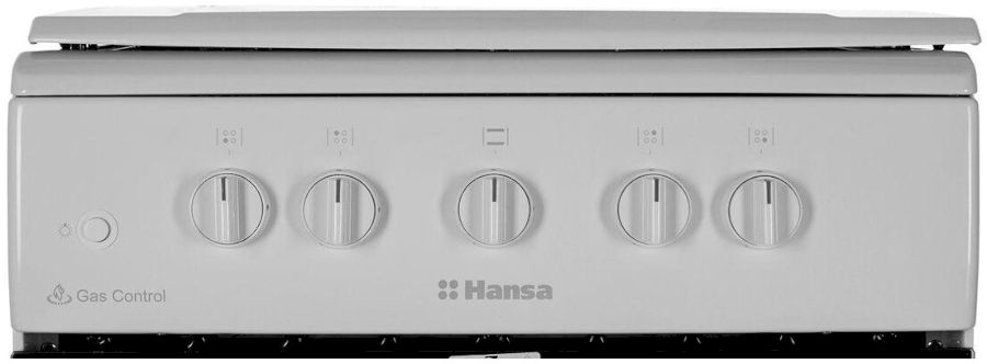 Плита газовая Hansa FCGW 510009, белый